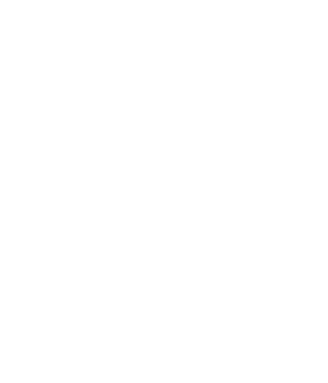 Сингула